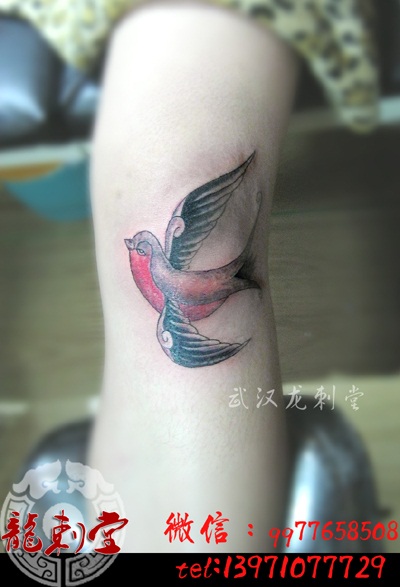 膝盖欧式燕子纹身欧美纹身school纹身图案武汉技术好的纹身店