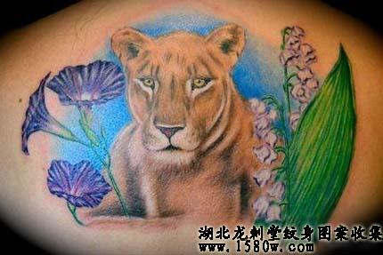 狮子纹身背部纹身