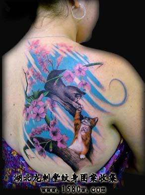 樱花猫咪纹身背部纹身