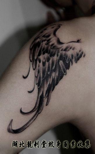 鹰的翅膀纹身图案