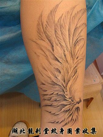 天使羽毛纹身图片