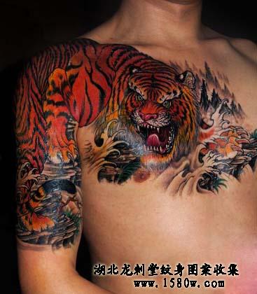 老虎半胛纹身图案