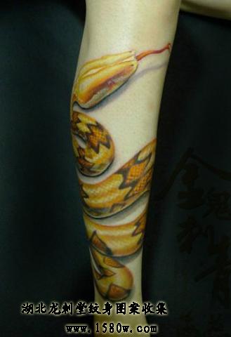 黄金蟒蛇纹身