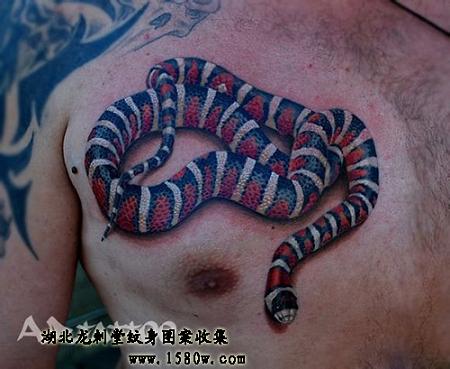 红环蛇纹身图案