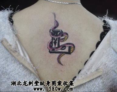 蛇盘文字纹身蛇纹身