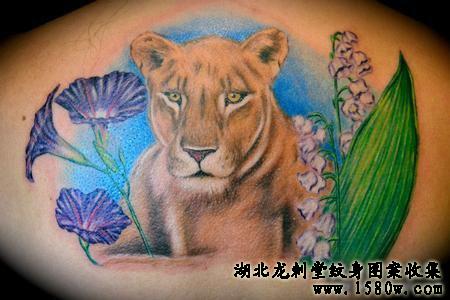 母狮纹身狮子纹身