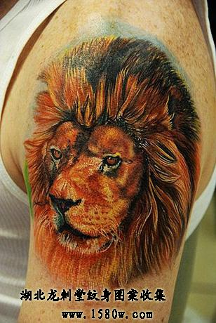 欧美狮子纹身
