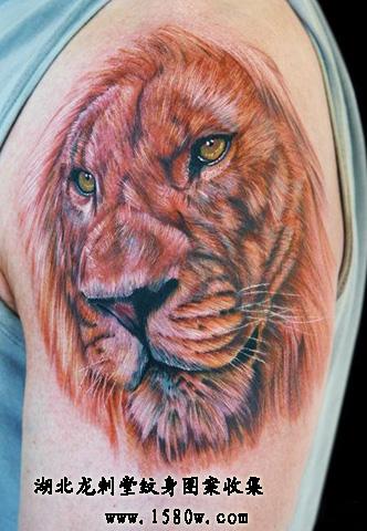 逼真狮子纹身