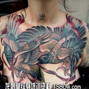 女性胸部老鹰纹身