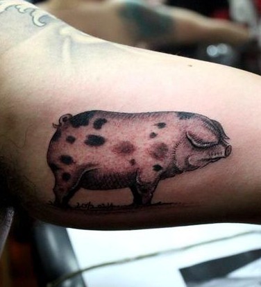 猪纹身图案 纹身图片